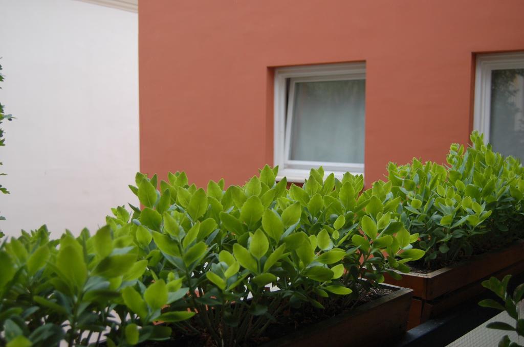 Buda Castle Apartments Budapest Habitación foto
