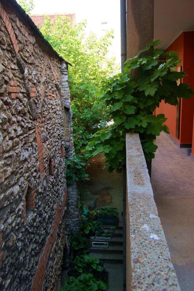 Buda Castle Apartments Budapest Exterior foto